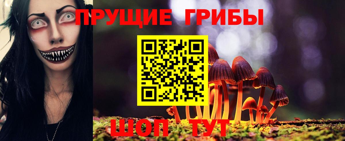 Псилоцибиновые грибы прущие грибы Карачаевск